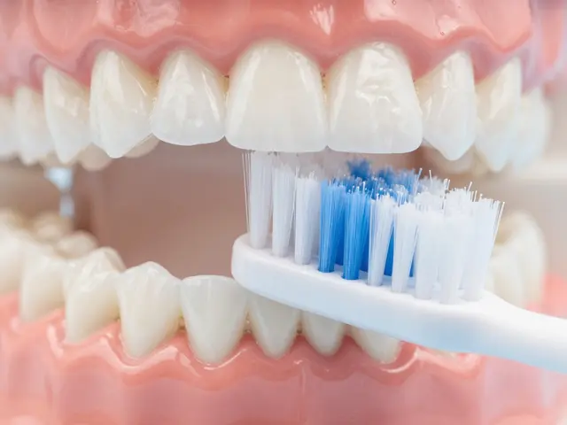 Mezizubní kaz: Konec mýtů a pravda o tom, jak ho zastavit